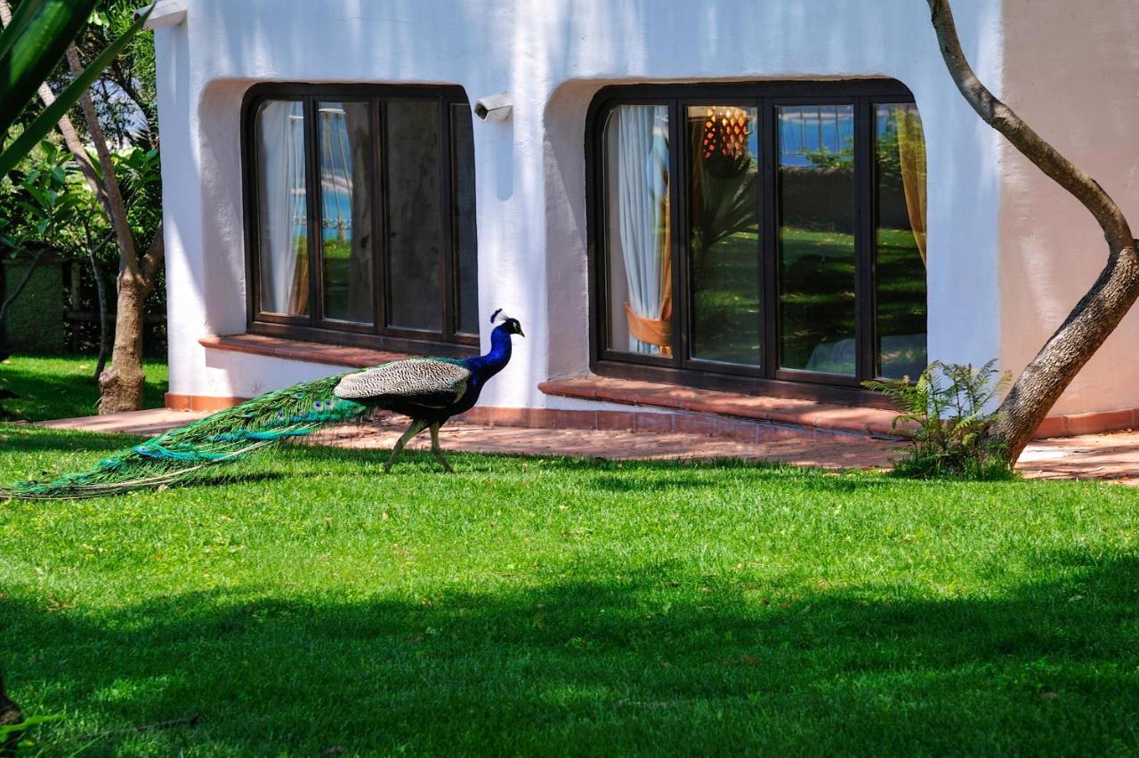 Arbatax Park Resort - Ville Del Parco Kültér fotó